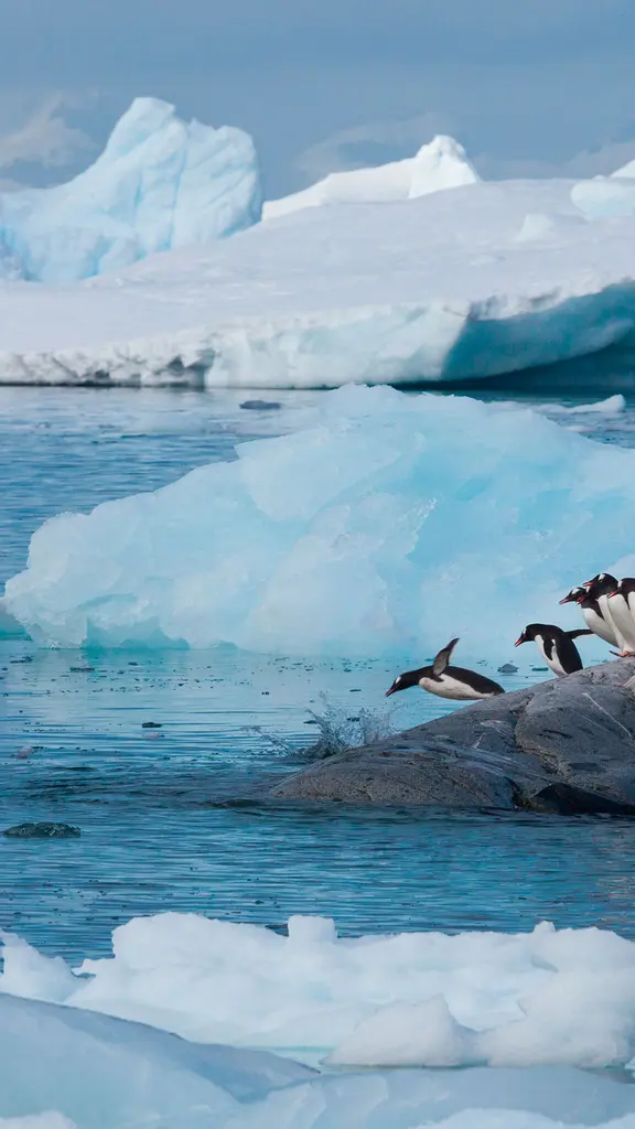 Here's how it's done!