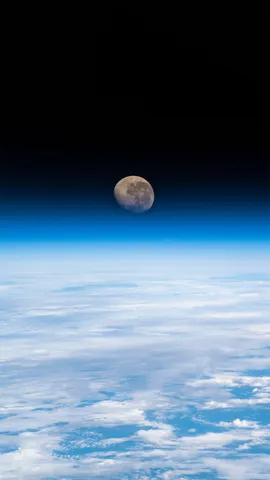 尤里之夜的凸月