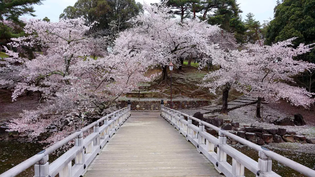 今日は年度初日