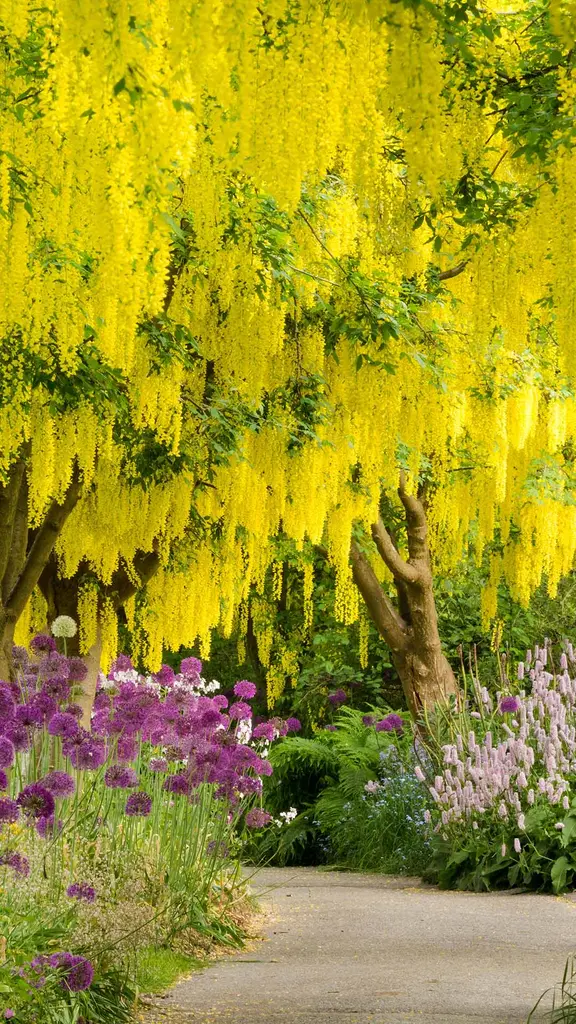 一张来自春天的快照