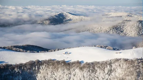 La plus grande ferme de France ouvre ses portes !