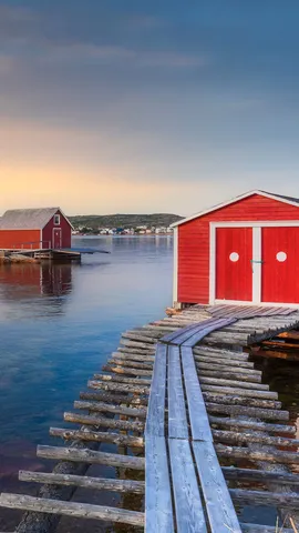 Sogno di una Fresca Estate