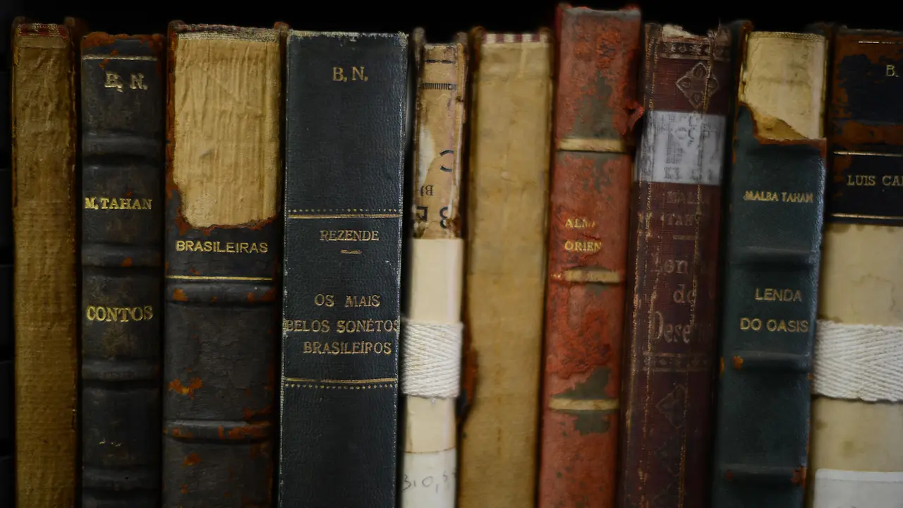 Riqueza e diversidade lingu&iacute;stica