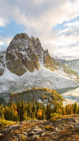 阿西尼博因山公园的秋叶，加拿大不列颠哥伦比亚省