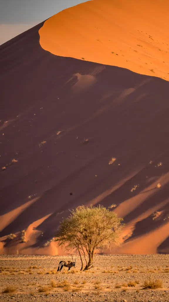 Horizontes cambiantes