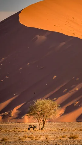 Rossi orizzonti, sabbia e tramonti