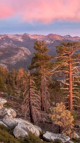 Echoes from the Clark Range