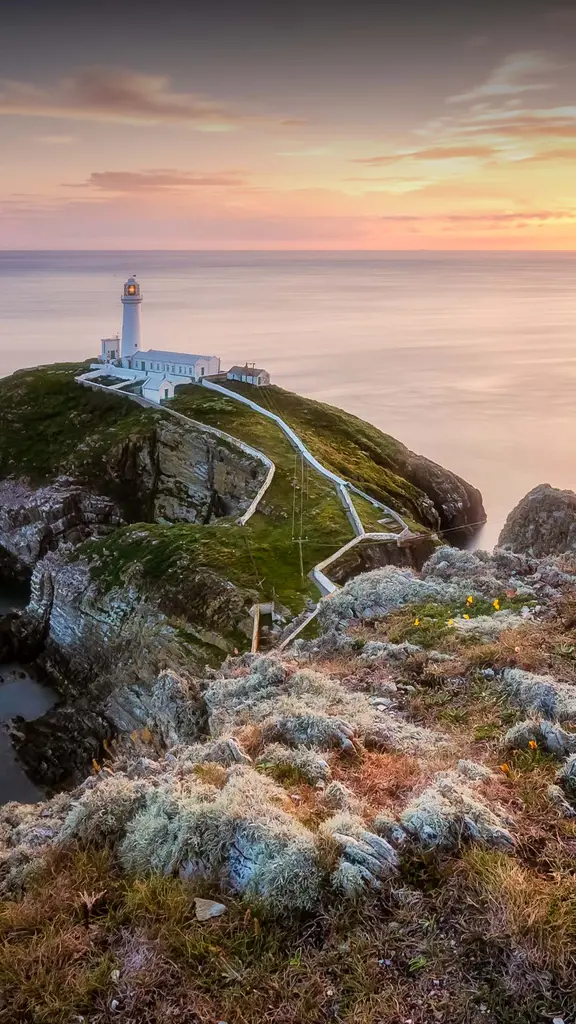 Alte maree e luci brillanti