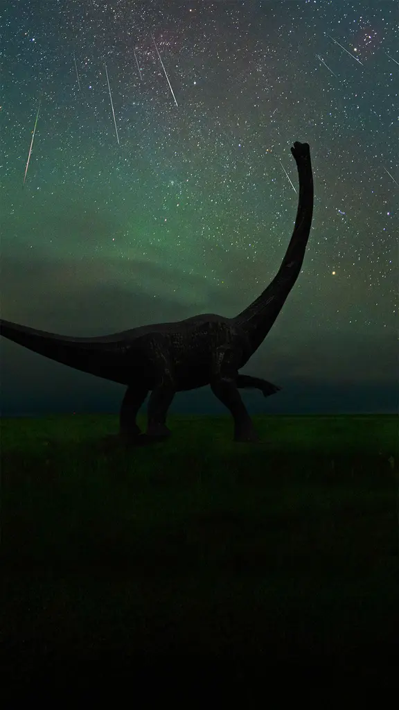 拍摄于二连浩特恐龙博物馆中的英仙座流星雨，中国内蒙古