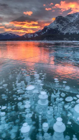 Des bulles &agrave; perte de vue !