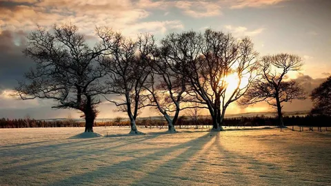 Tradition burns bright