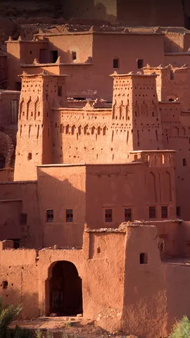 W&uuml;stenw&auml;chter des W&uuml;stenzaubers