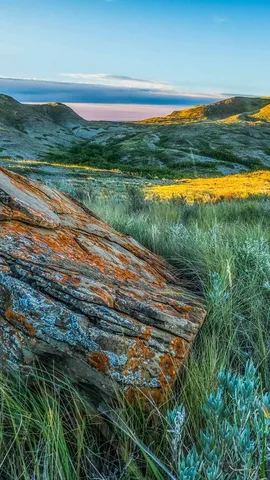 L'erba sembra pi&ugrave; verde da questa parte