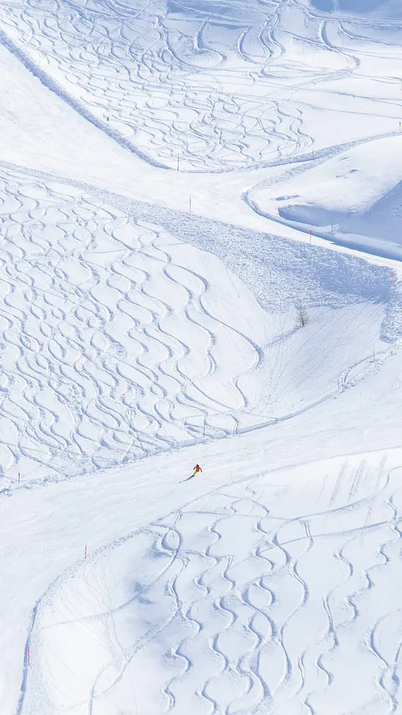 &iexcl;Siente la frescura de la velocidad!