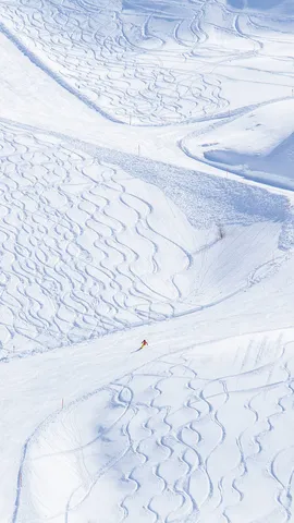 瑞士的雪花漱漱落下