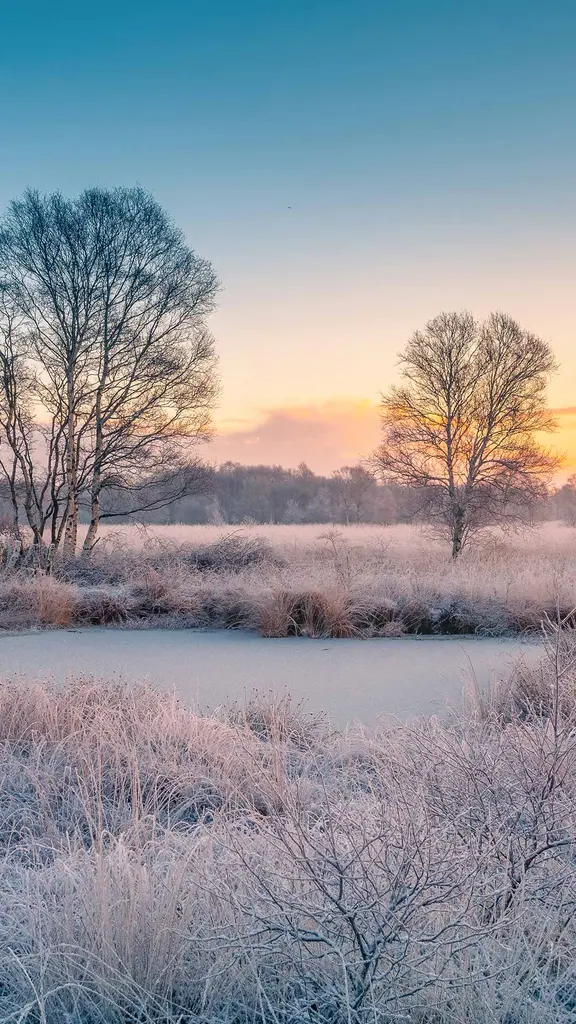 Eisige Sch&ouml;nheit