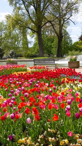 Blumenbeet oder Blumenbett?