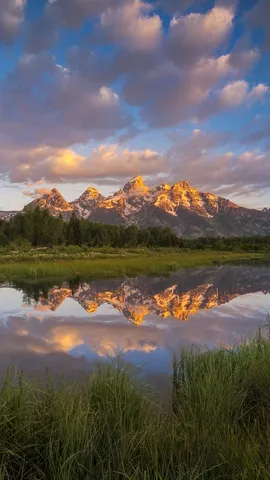 Where the deer and the antelope play