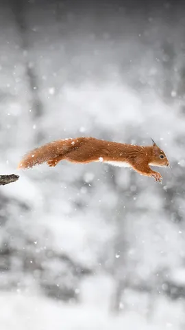 Saltando a un d&iacute;a extra