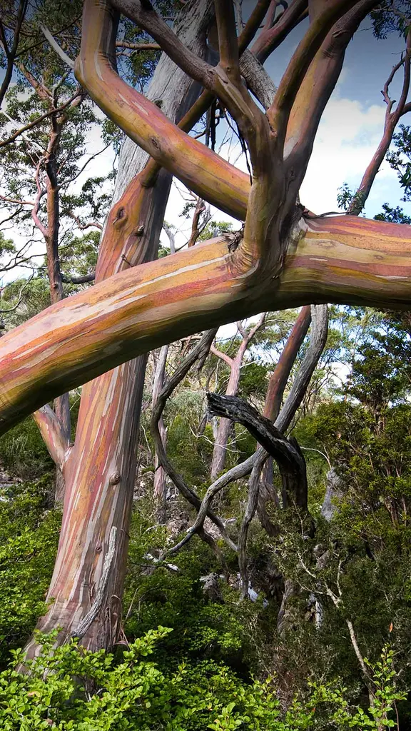 Immergetevi nella diversit&agrave;