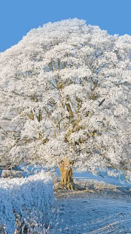 霜雪覆盖下的科茨沃尔德，英格兰