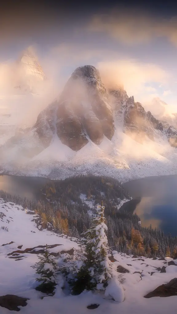 Monta&ntilde;as brumosas