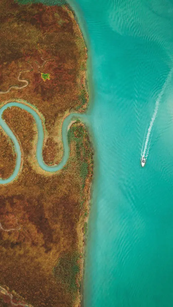 威尼斯式的&ldquo;甜蜜生活&rdquo;