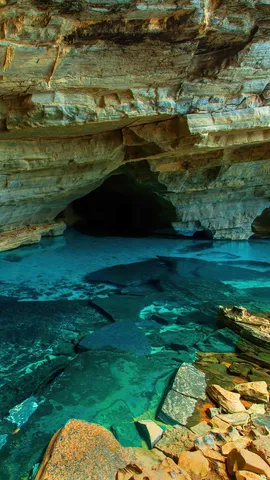 Celebrando a preserva&ccedil;&atilde;o e beleza