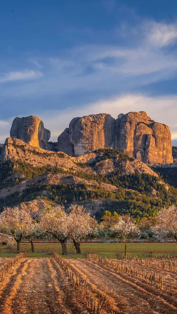 Alcan&ccedil;ando novas alturas