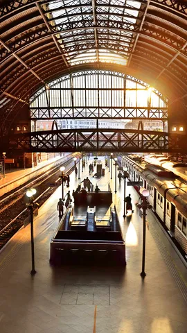 O Cora&ccedil;&atilde;o de S&atilde;o Paulo