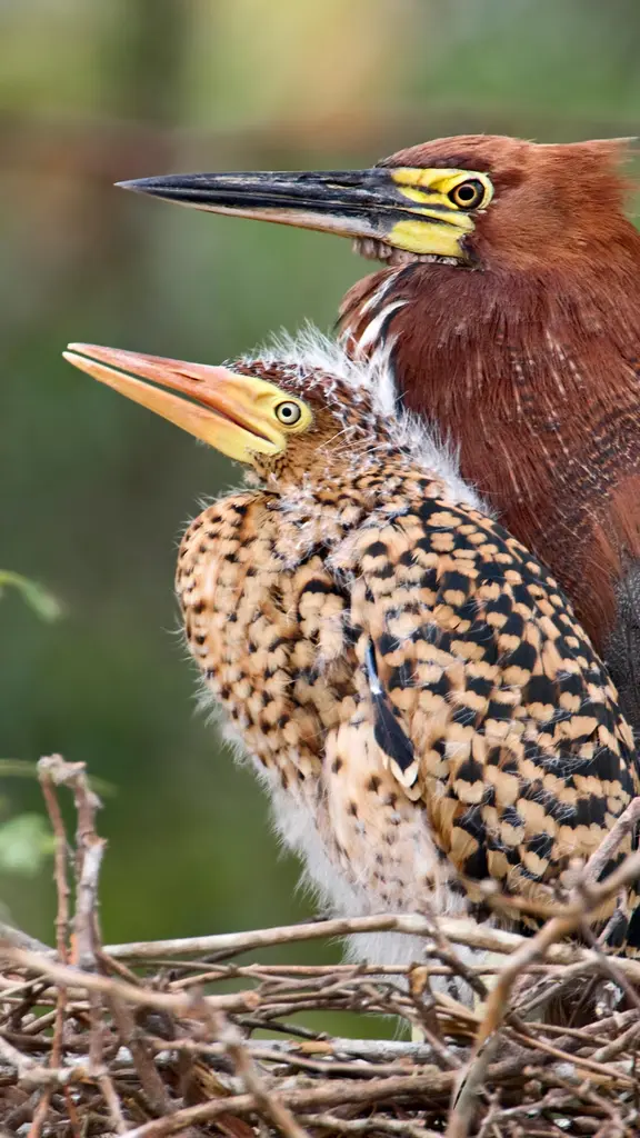 Um momento de pai e filho
