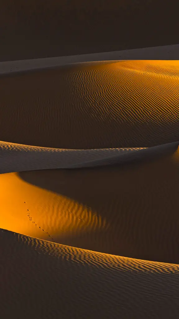 光に照らされ輝く砂丘