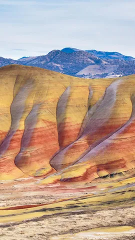 Resson&acirc;ncias da Extin&ccedil;&atilde;o