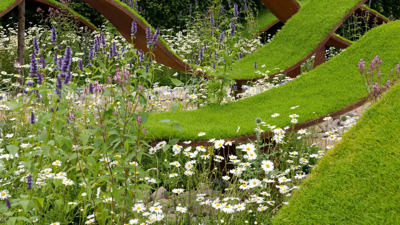 'Sow' much to see and do