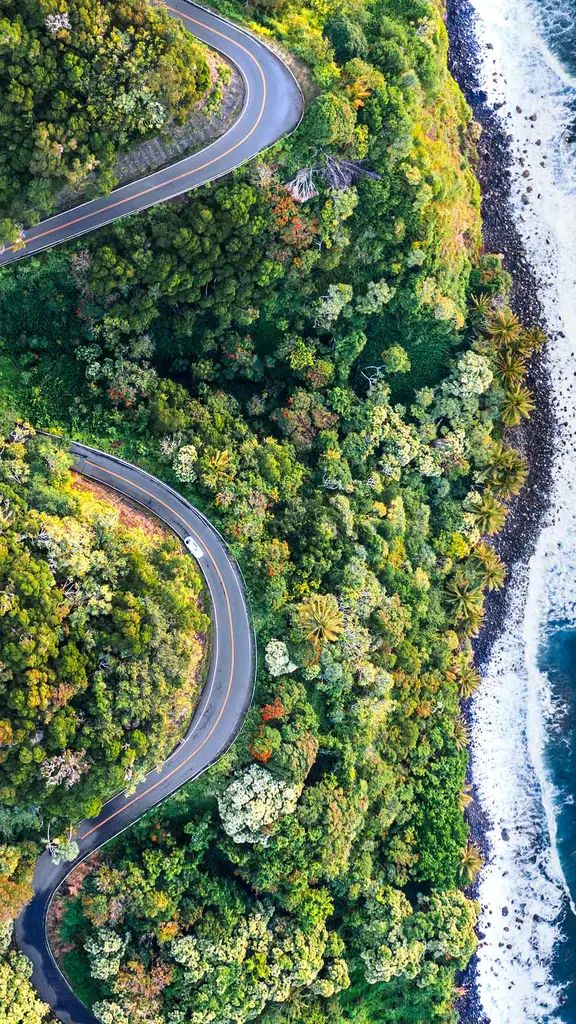 Despacio, &iexcl;disfruta del viaje!