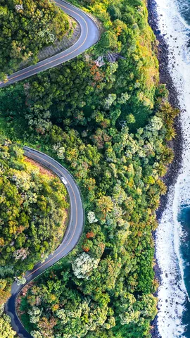 Despacio, &iexcl;disfruta del viaje!