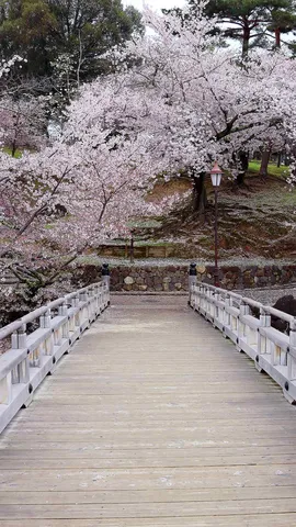 今日は年度初日