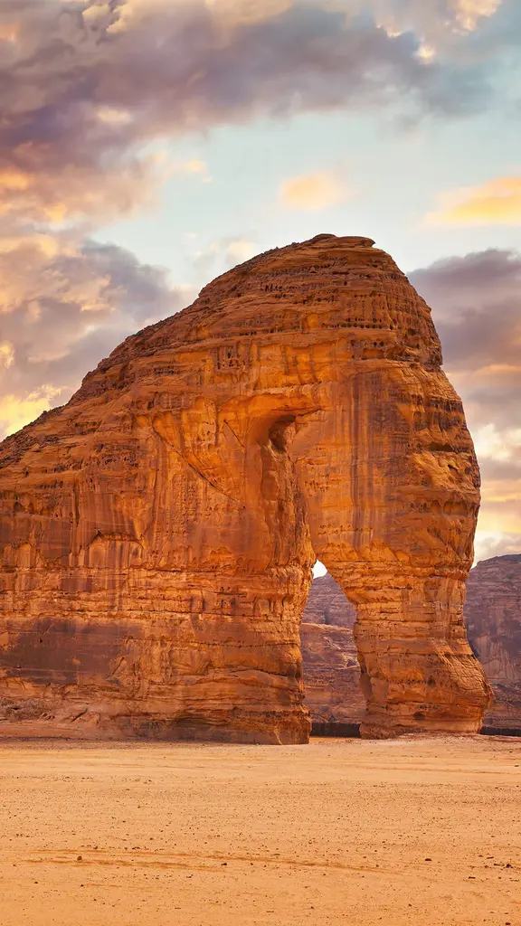 L&rsquo;&eacute;l&eacute;phant du d&eacute;sert