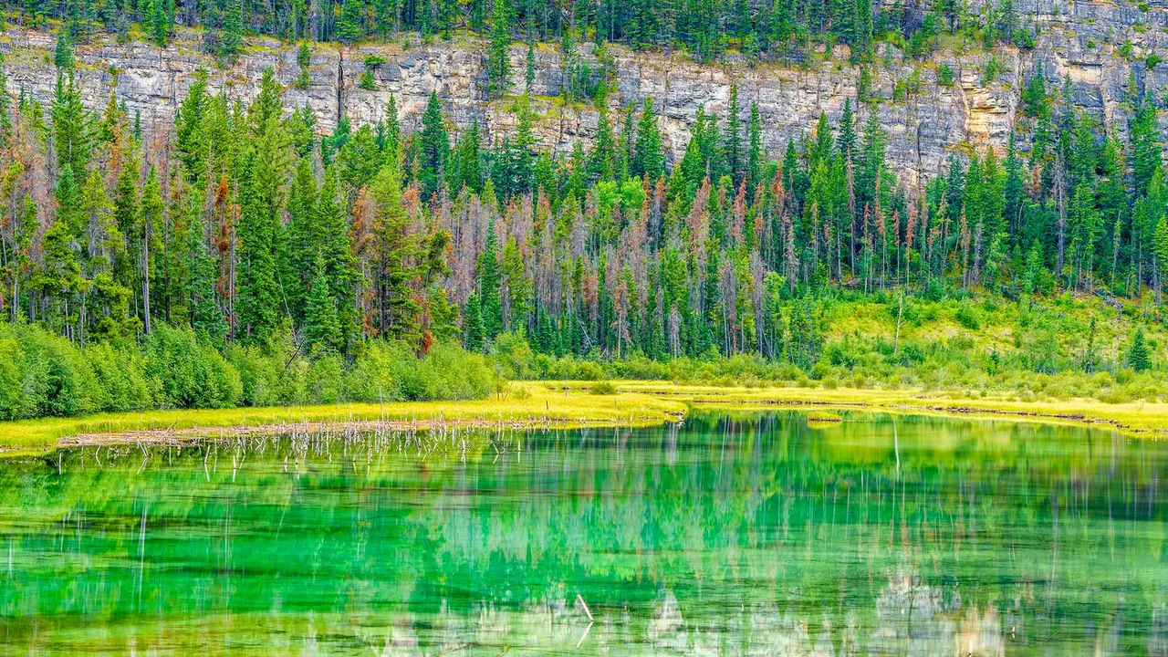 自然が描く湖畔の景色