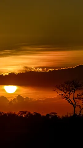 As ra&iacute;zes profundas da resist&ecirc;ncia