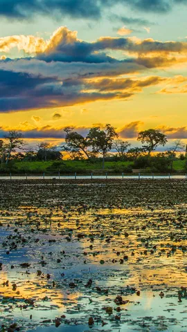 Ando devagar porque j&aacute; tive pressa...