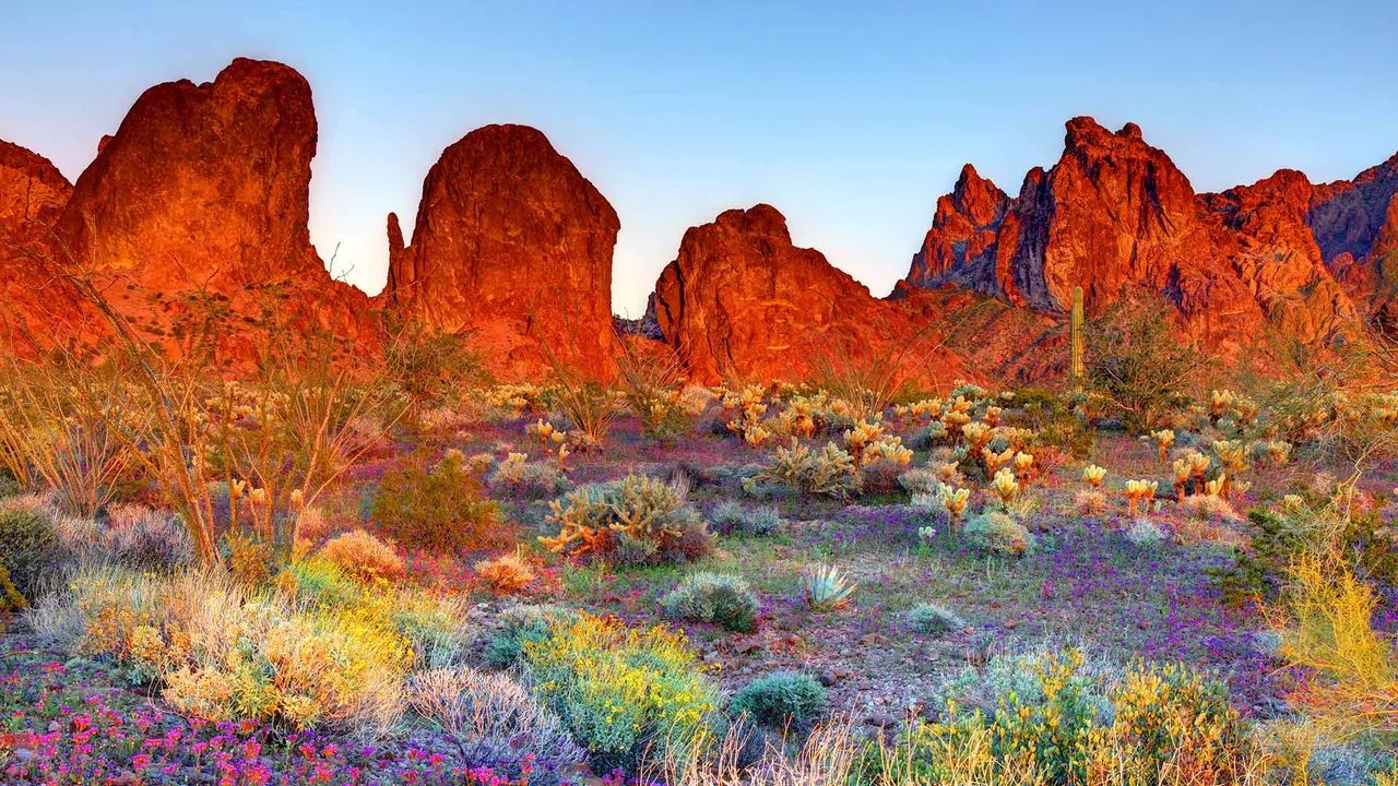 Desert, drawn wide
