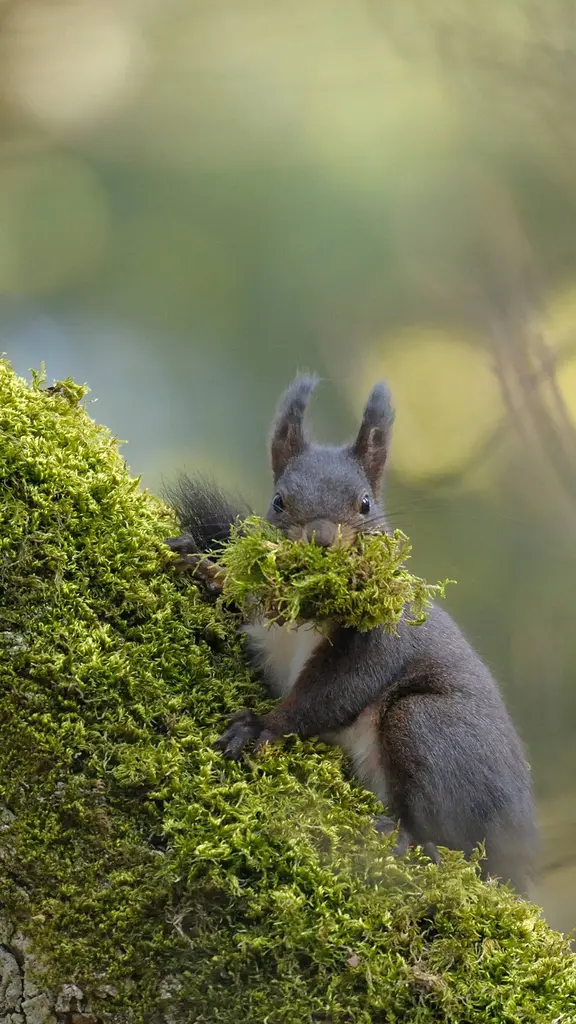 她一根一根地准备着