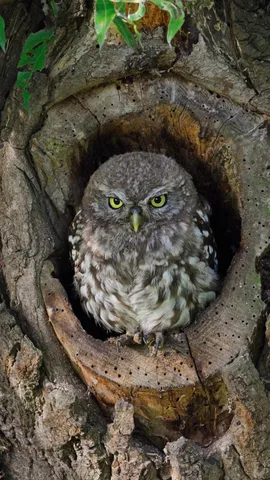 Wer hat an der Uhr gedreht?