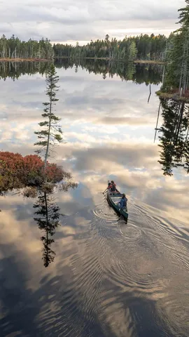 All about the woods and waters