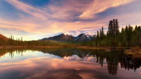 First flakes in the wilderness