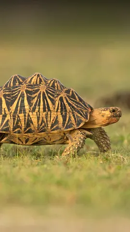 &Uuml;berall ein Haus, &uuml;berall zu Hause?