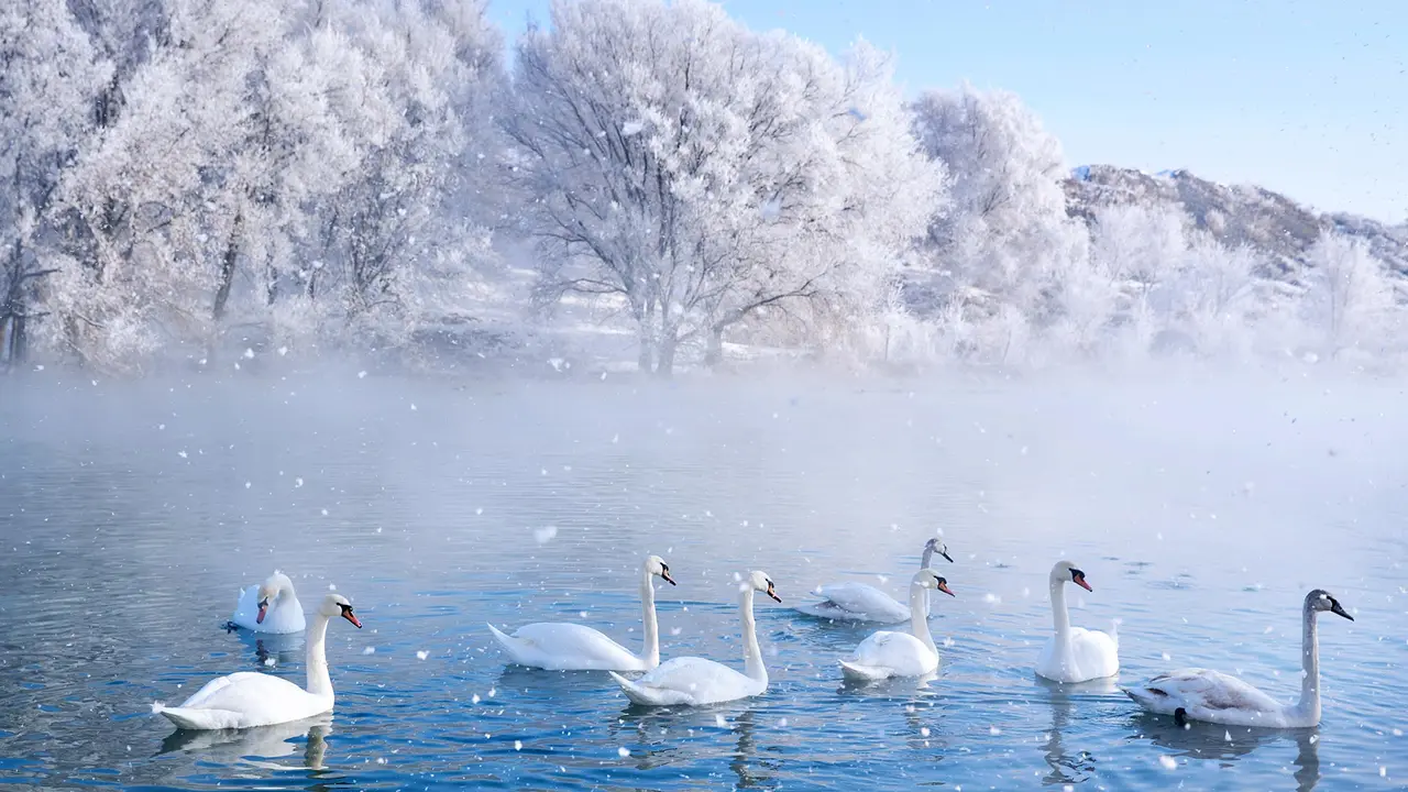 冬季仙境中的精灵