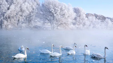 冬季仙境中的精灵