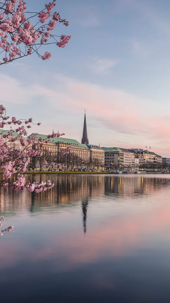 Rosa Fr&uuml;hlingszauber